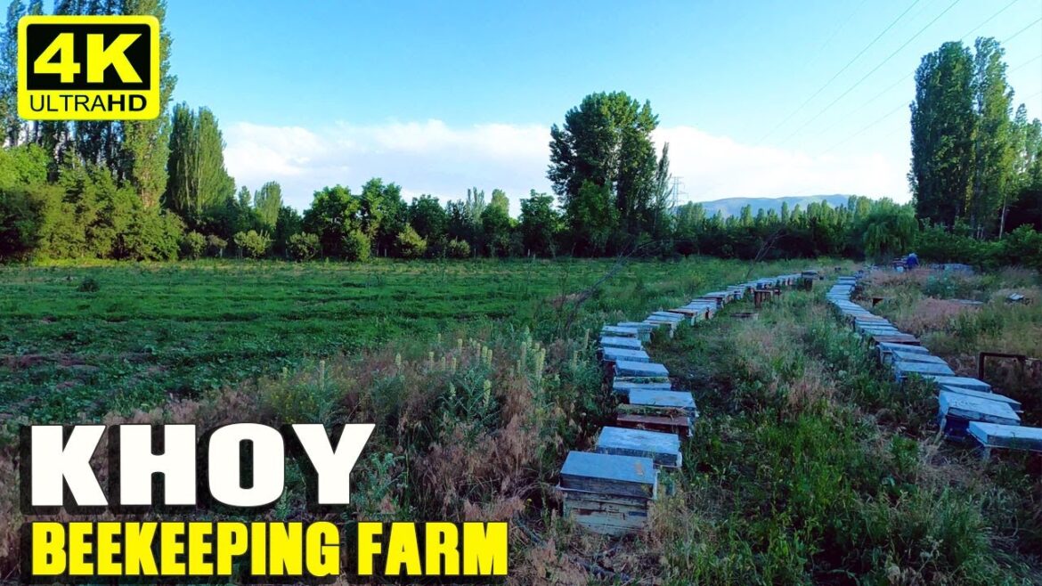 KHOY WALK TOUR  🇮🇷 BEEKEEPING FARM  | 4K UHD 60FPS | IRAN 2021