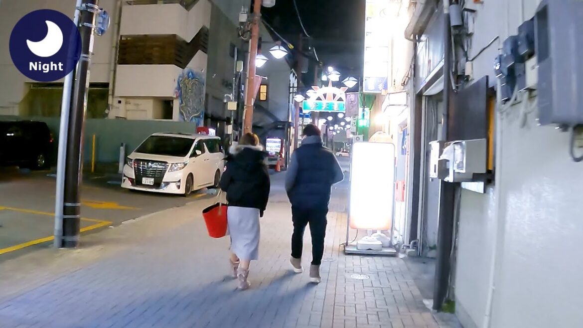 ⁴ᴷ Yamanashi: Kofu (甲府) - Japan Walking Tour (February 20, 2021)