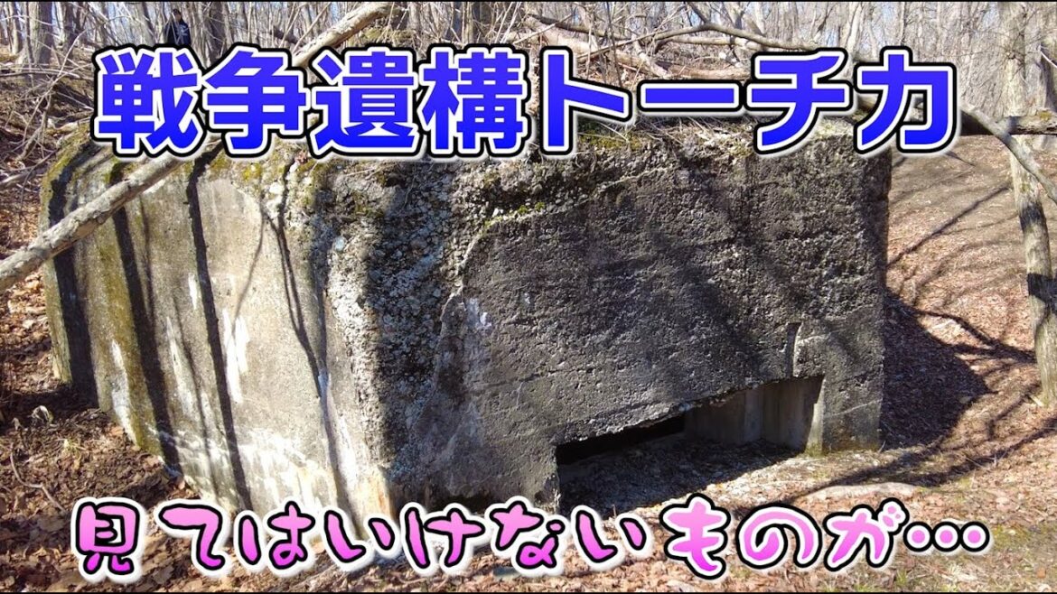 【何故】苫小牧市【戦争遺構】トーチカに内部潜入したらあるものが落ちてた… 【何故】苫小牧市【戦争遺構】トーチカに内部潜入したらあるものが落ちてた…