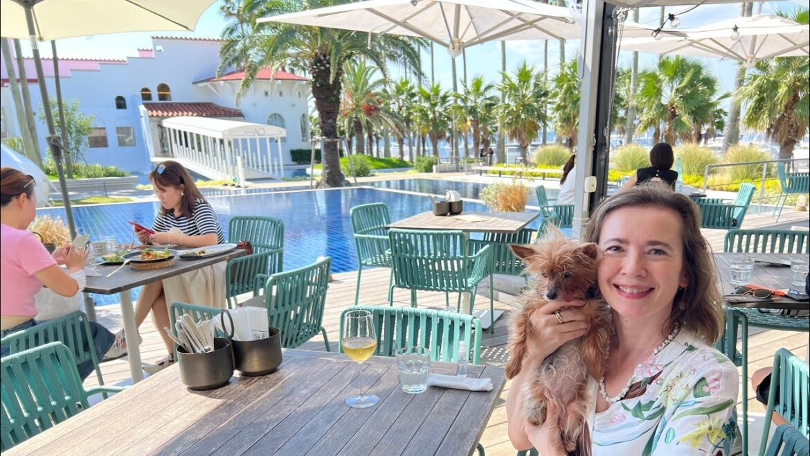 Lunch at Zushi Marina | Resort Lifestyle Just an Hour from Tokyo, Japan Lunch at Zushi Marina | Resort Lifestyle Just an Hour from Tokyo, Japan