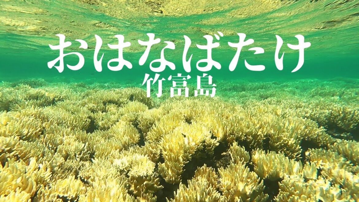 ポイント「お花畑」は本当にお花畑だった !!  第366話 ポイント「お花畑」は本当にお花畑だった !!  第366話