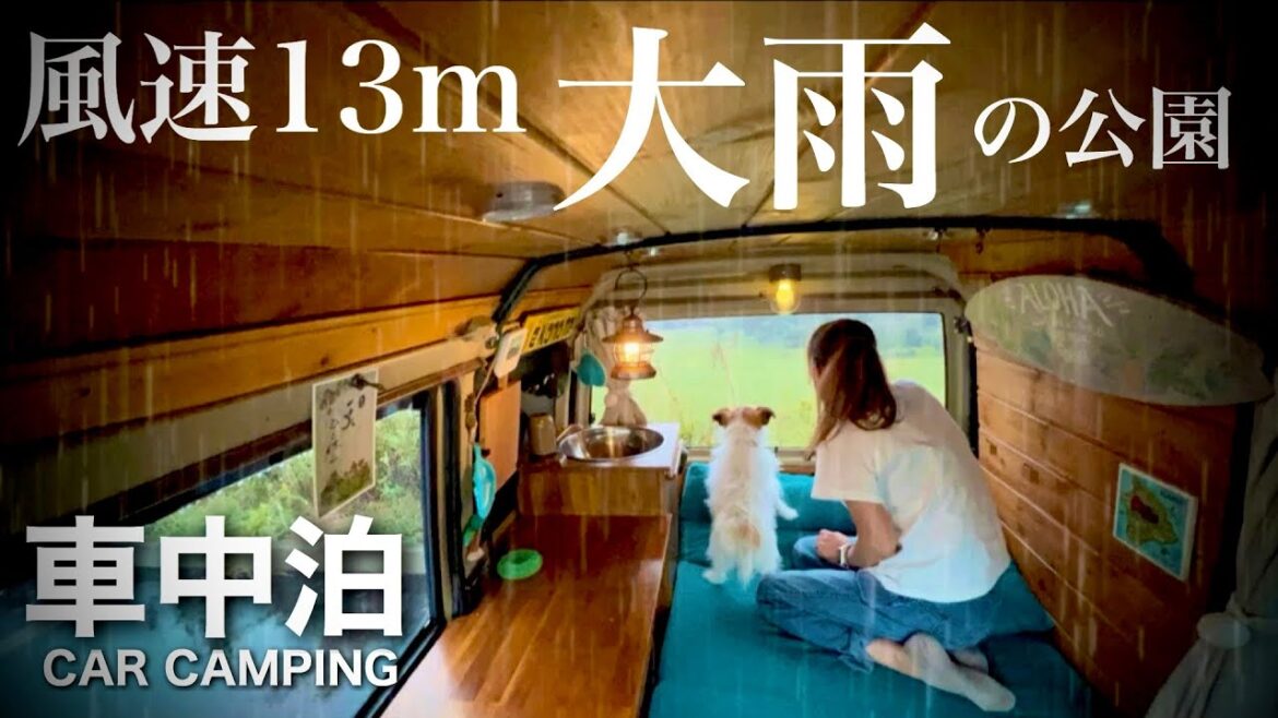 【孤独の車中泊 女一人旅】突然の大雨、そして暴風が怖くて泣きそうになりました