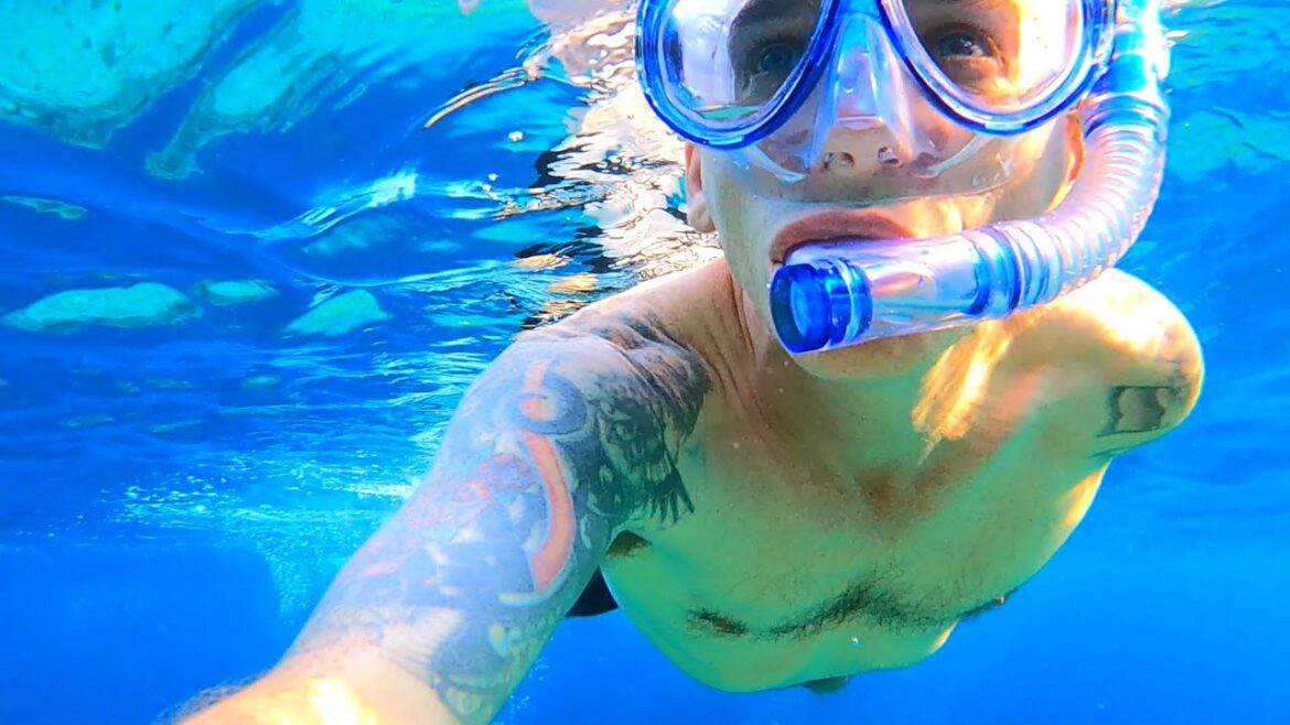 Shark Encounter in The Red Sea! 🇪🇬