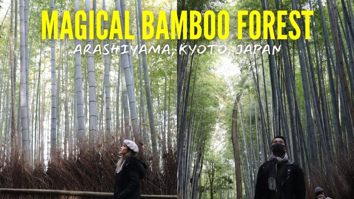 48 hours in Kyoto, Japan – Travel Guide 2022 48 hours in Kyoto, Japan - Travel Guide 2022