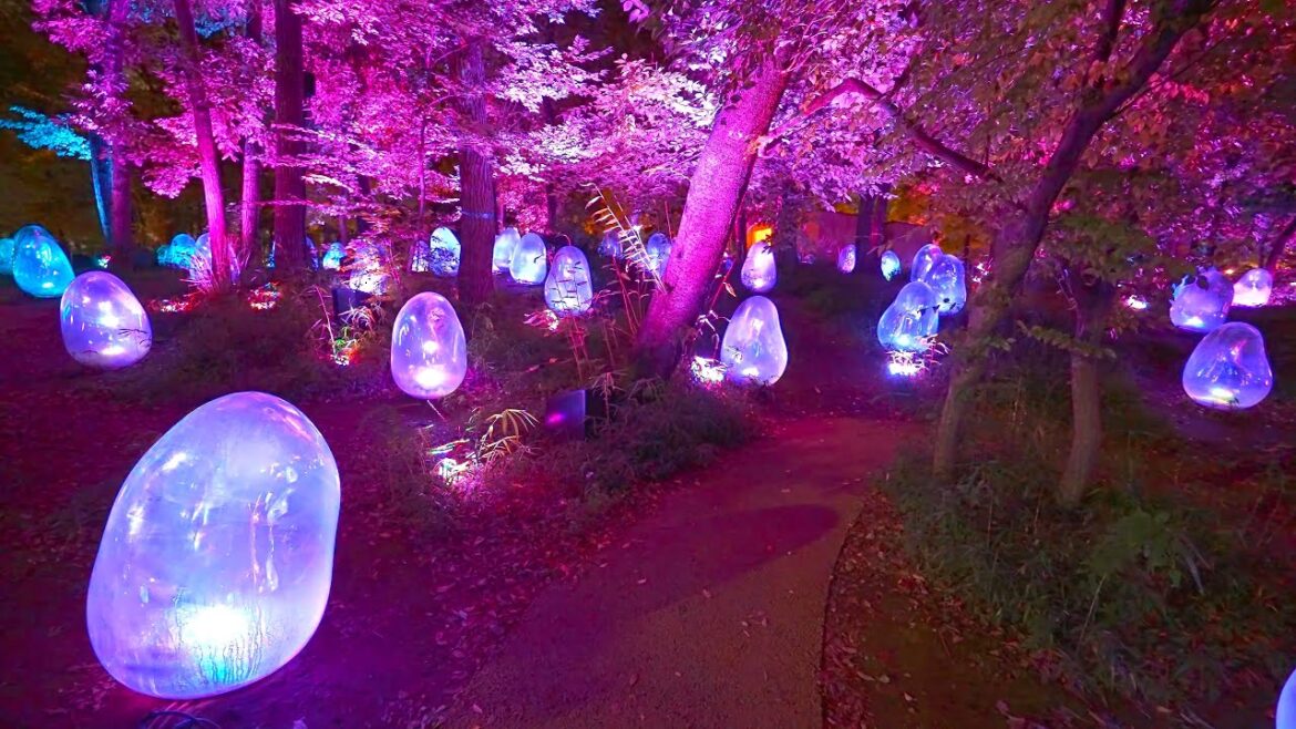 Japan - Night walk around Kadokawa Museum・4K HDR