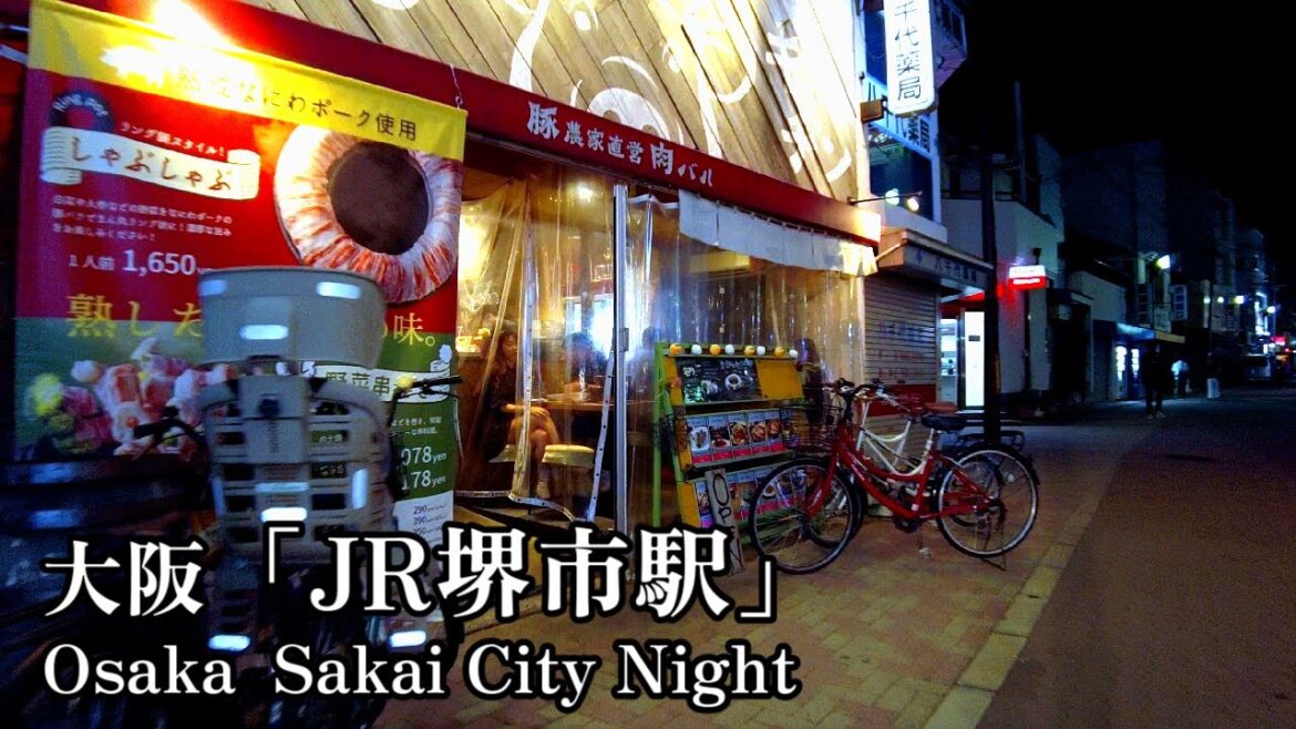 Walk Japan | Night stroll at Sakai City Station Walk Japan | Night stroll at Sakai City Station