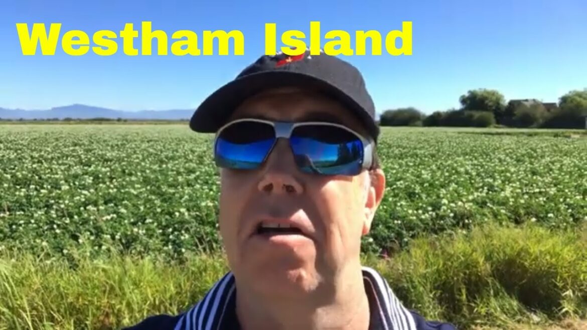 Beautiful Westham Island, British Columbia