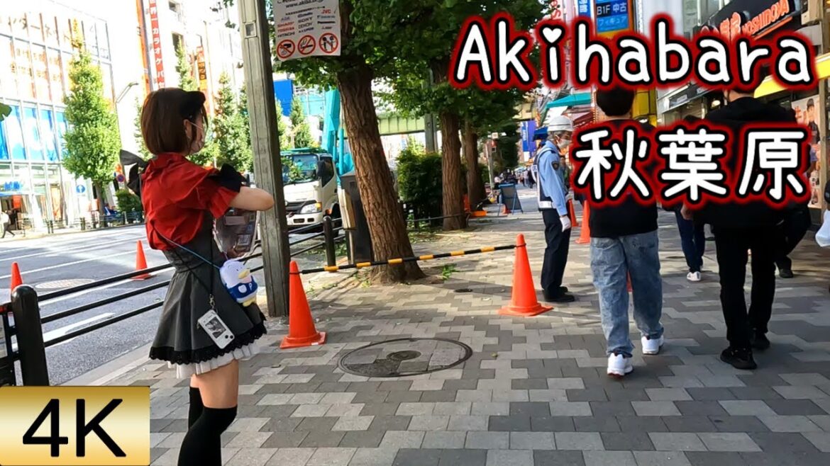 【秋葉原 Akihabara】Walk in Tokyo Japan【4K60fps】
