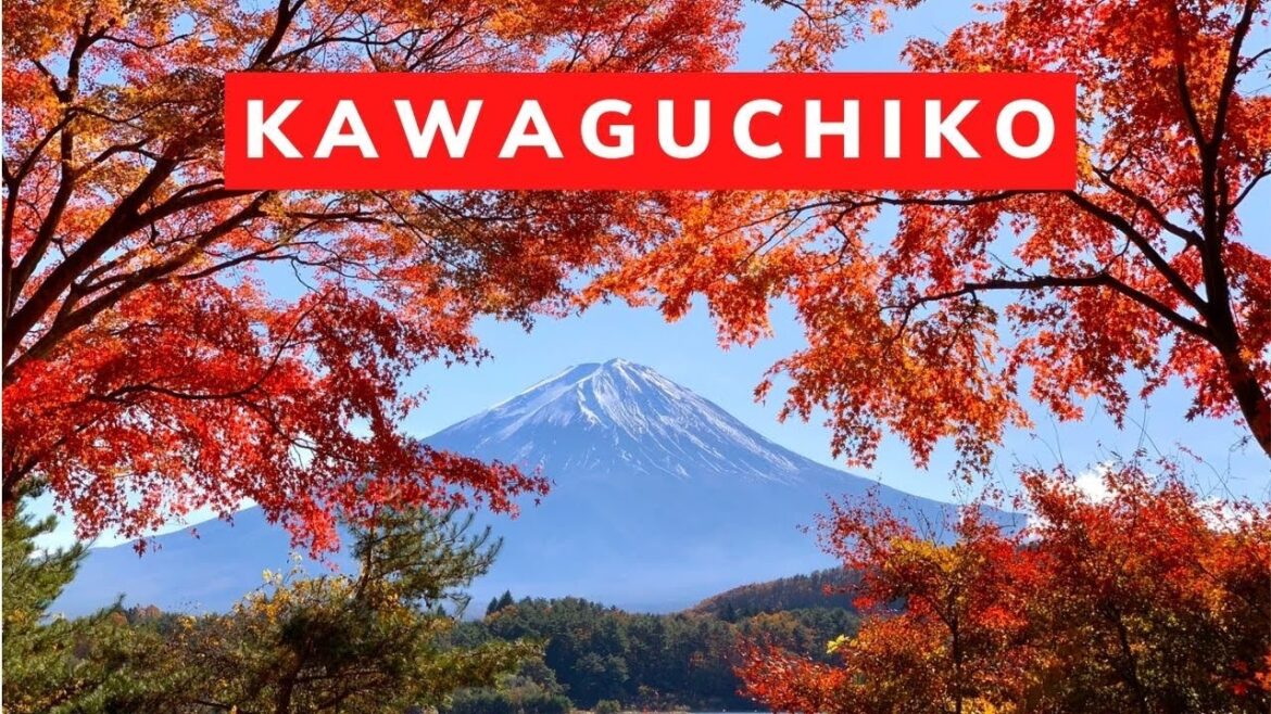 5 Things To Do in Lake Kawaguchi (4K)