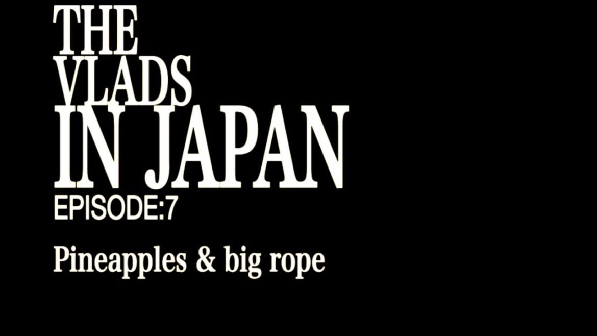 Okinawa 2 – Nago Pineapple Park & Naha Tug Of War festival Okinawa 2 - Nago Pineapple Park & Naha Tug Of War festival