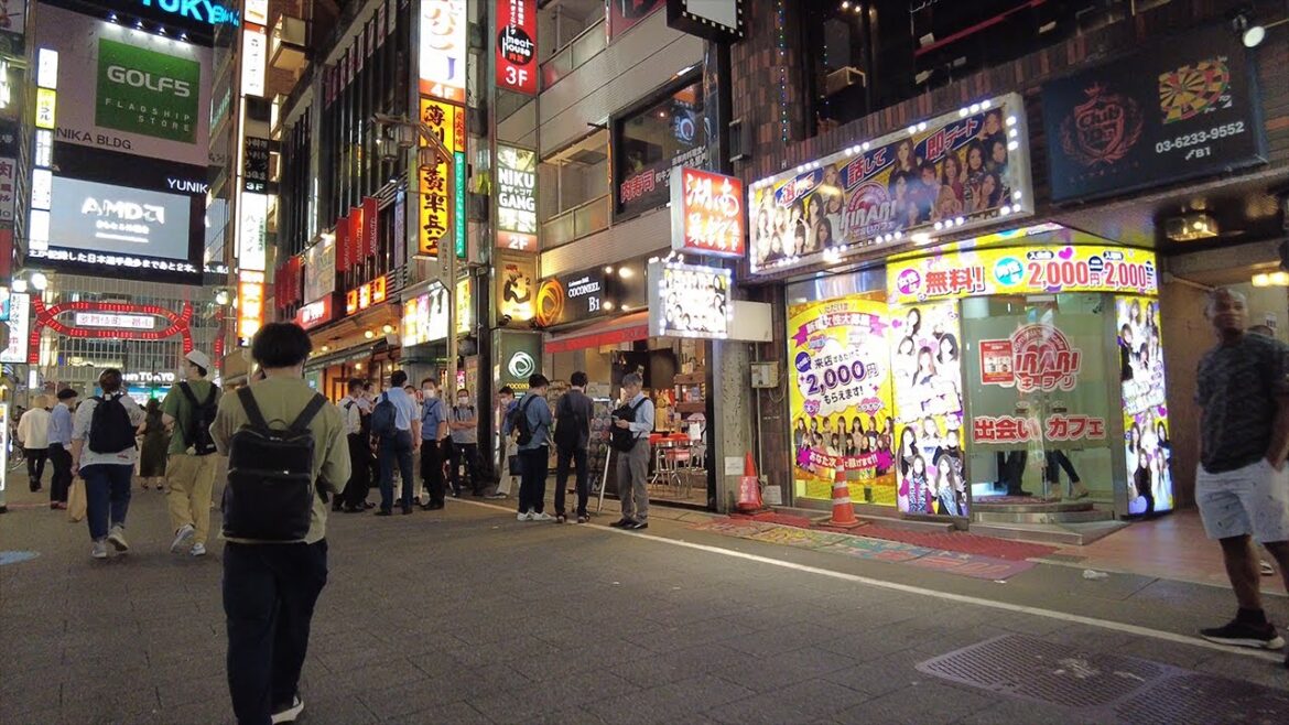 [4K] KABUKICHO Night Walk,  Nightlife, Tokyo, Japan,  2022, 歌舞伎町
