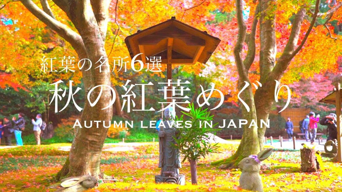 秋の旅／日本の紅葉名所6選〜京都・日光・伊豆・白馬・鎌倉・河口湖のおすすめスポット〜