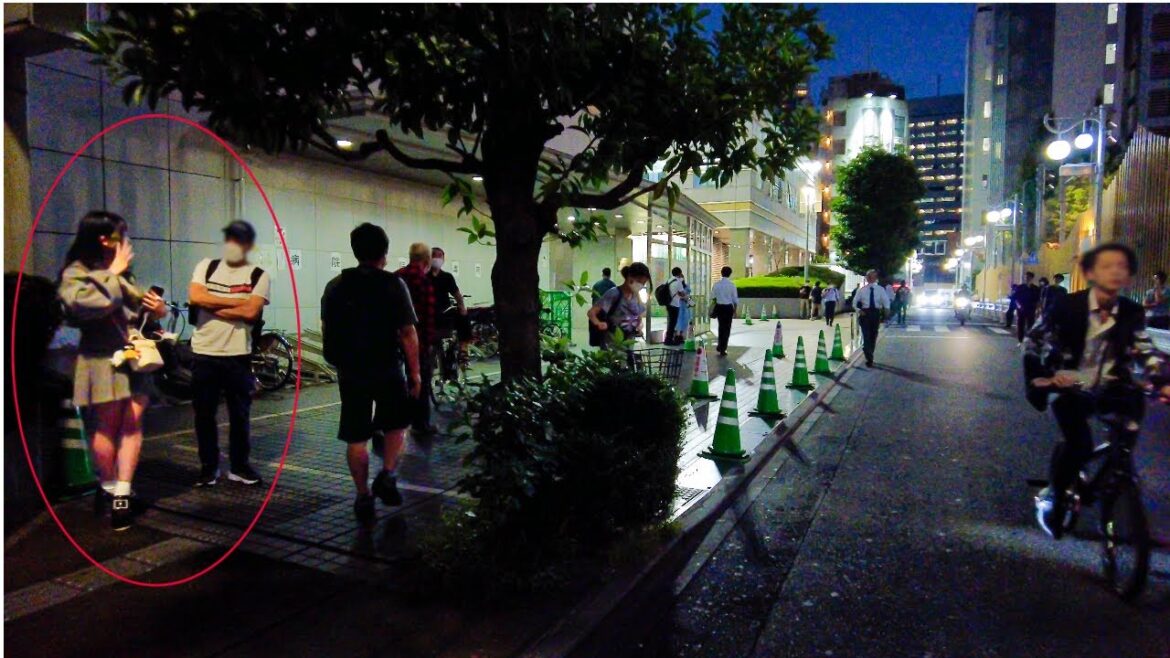 4K:大久保公園散歩|早い時間はレベルが高い?17時頃の歌舞伎町周辺の様子|TOKYO WALK 4K:大久保公園散歩|早い時間はレベルが高い?17時頃の歌舞伎町周辺の様子|TOKYO WALK