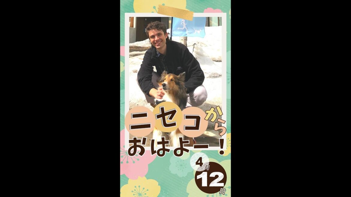 【ペットOK宿】北海道ニセコからおはよー！＜2021年4月12日＞|毎週月曜朝8時、ニセコから元気をお届け！ #Shorts