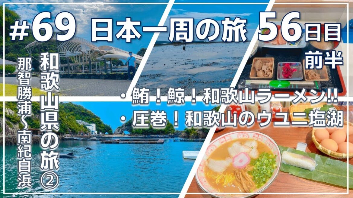 ep.69【56日目和歌山県②】【クジラと絶景&ラーメンに感動】勝浦にぎわい市場➡クジラ博物館➡古座川の一枚岩➡丸田屋➡天神埼『NO密』日本一周旅 by セミリタイアおじさん ep.69【56日目和歌山県②】【クジラと絶景&ラーメンに感動】勝浦にぎわい市場➡クジラ博物館➡古座川の一枚岩➡丸田屋➡天神埼『NO密』日本一周旅 by セミリタイアおじさん