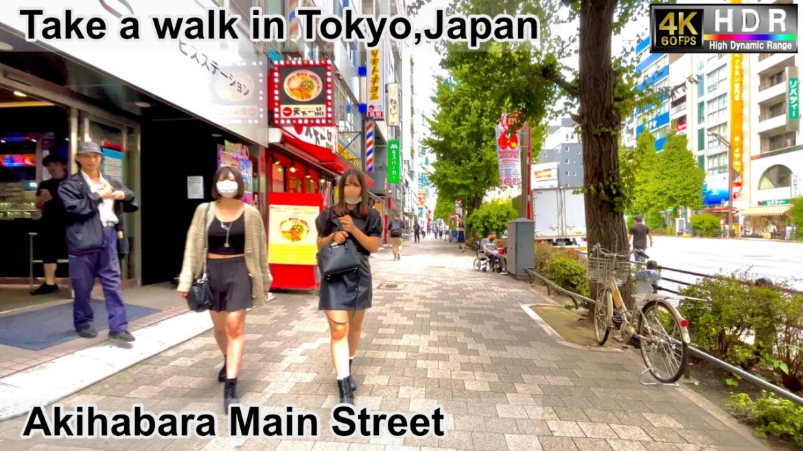 4K 60fps HDR// Take a walk in Tokyo, Japan, Ogawa-Machi area→ Akihabra area→ Suehirocho UnderPass 4K 60fps HDR// Take a walk in Tokyo, Japan, Ogawa-Machi area→ Akihabra area→ Suehirocho UnderPass