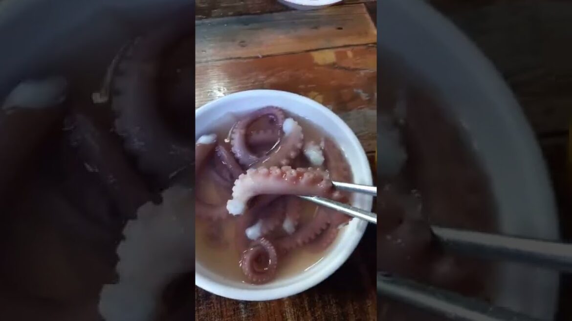 [famous restaurant] "Beoltae Seafood Stew" Busan Seafood Soup's best cost-effective restaurant