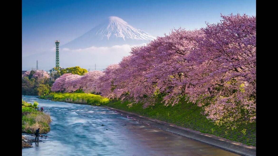 Holidays to Japan - now fully reopened for travel