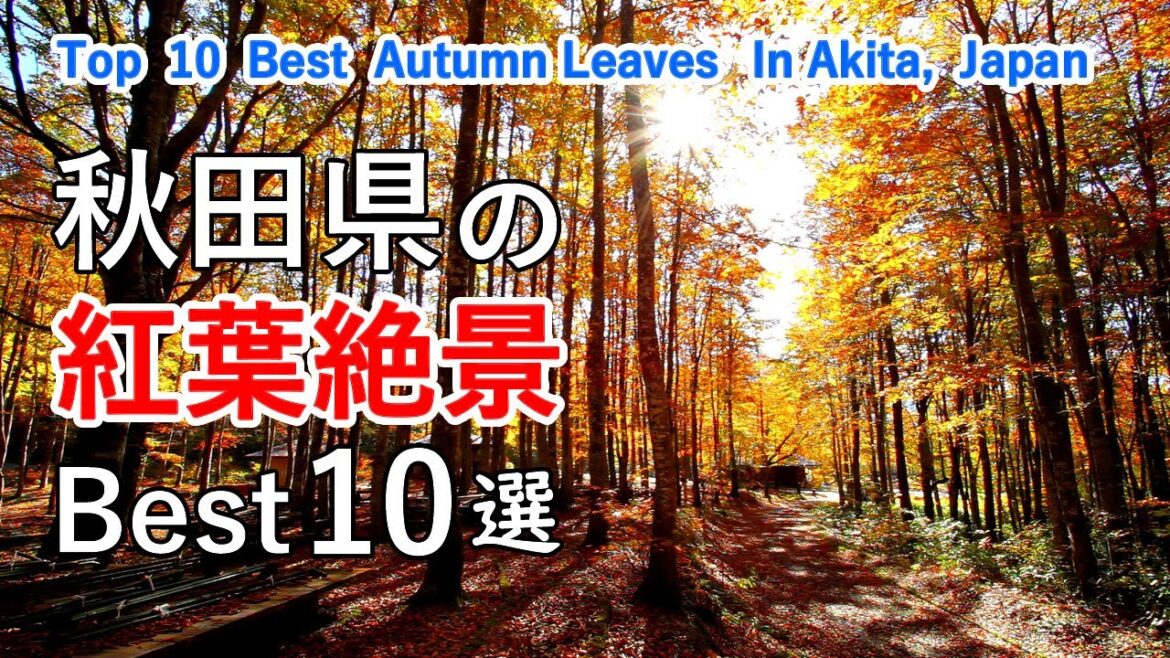 秋田県の紅葉絶景ベスト10選 / 八幡平・玉川温泉・田沢湖・十和田湖・白神山地・きみまち阪・桃洞滝・岨谷峡 / Top 10 best autumn leaves in Akita, Japan