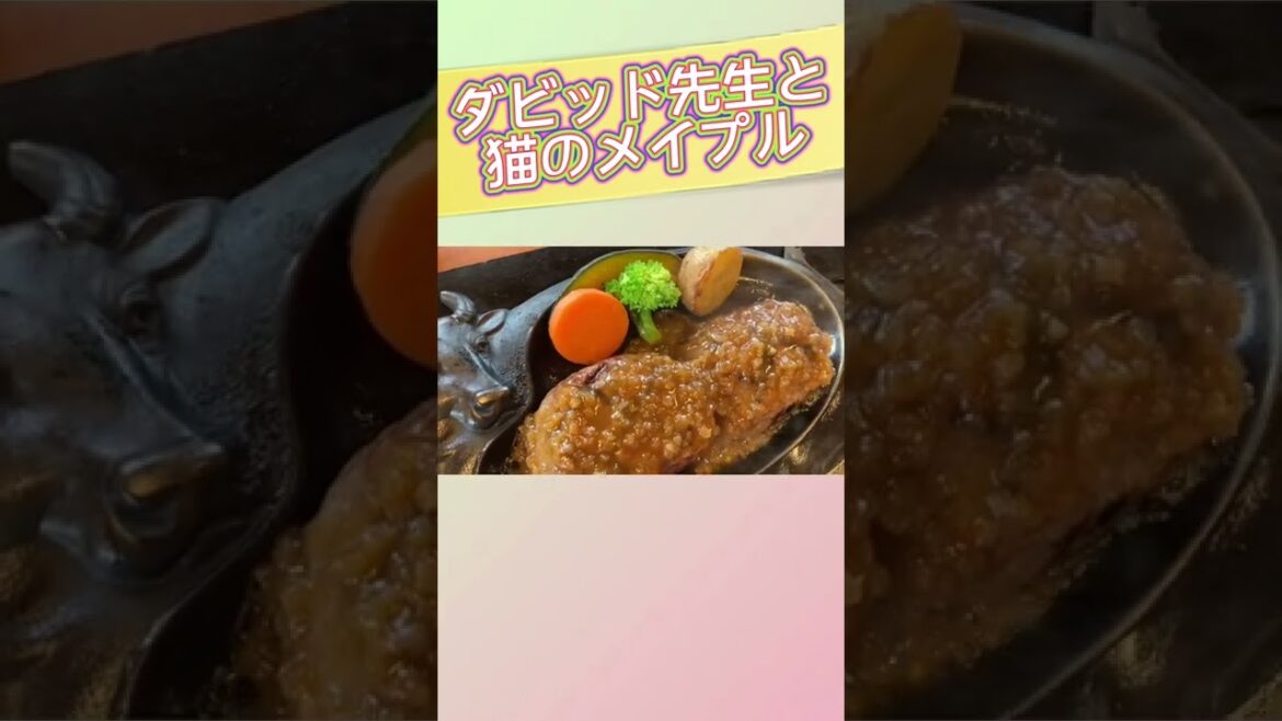 静岡限定ハンバーグ「さわやか」Looks good. Smells good. Sounds good.