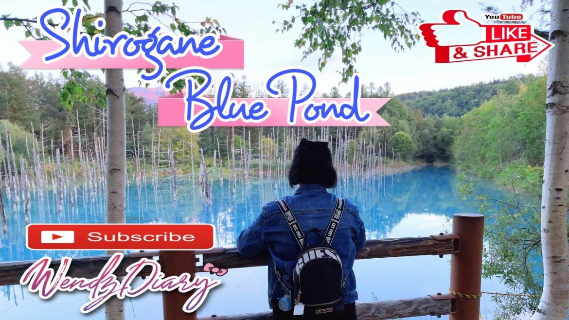 Shirogane Blue Pond | Wendz Diary Goes To Hokkaido Episode 5 Shirogane Blue Pond | Wendz Diary Goes To Hokkaido Episode 5