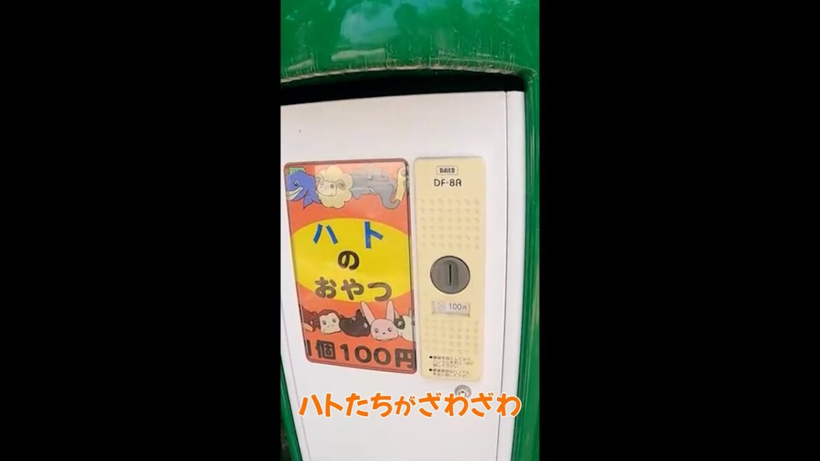 ハトさんのおやつ