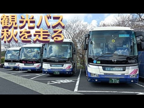 観光バス秋の知覧・開聞街道を走る🚍🚍🚍南九州市知覧町,指宿市開聞🚍2022年10月3~7日Sightseeing buses ran on the Chiran and Kaimon road 観光バス秋の知覧・開聞街道を走る🚍🚍🚍南九州市知覧町,指宿市開聞🚍2022年10月3~7日Sightseeing buses ran on the Chiran and Kaimon road