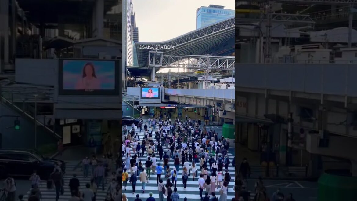 JR OSAKA STATION | slice of life Osaka, Japan