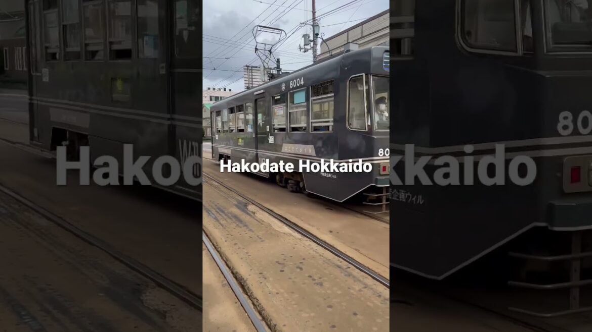 Explore Japan#hakodate #tram#shorts