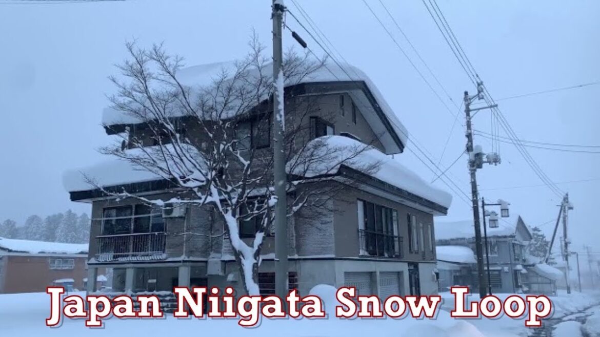 Japan Snow Walk Loop 2021.12.28 ASMR Ambience Sound Sleep Meditate Relax Niigata Mountain Ski Japan Snow Walk Loop 2021.12.28 ASMR Ambience Sound Sleep Meditate Relax Niigata Mountain Ski