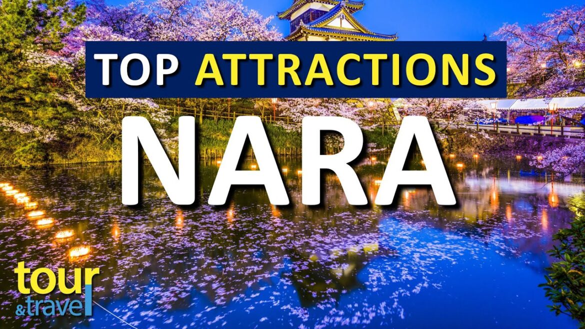 Amazing Things to Do in Nara & Top Nara Attractions