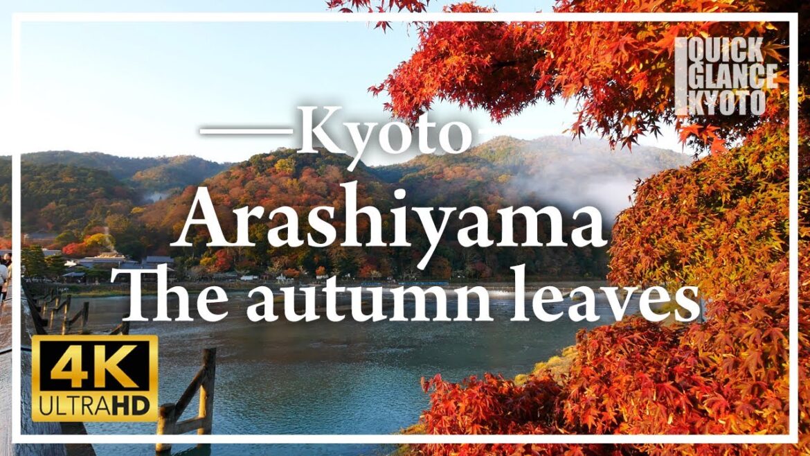 Autumn leaves of Arashiyama, one of the best sightseeing spots in Kyoto. Autumn leaves of Arashiyama, one of the best sightseeing spots in Kyoto.