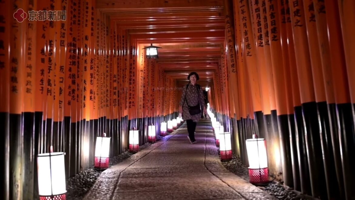 京都・伏見稲荷大社「千本鳥居のライトアップ」（2022年9月29日　京都市伏見区）