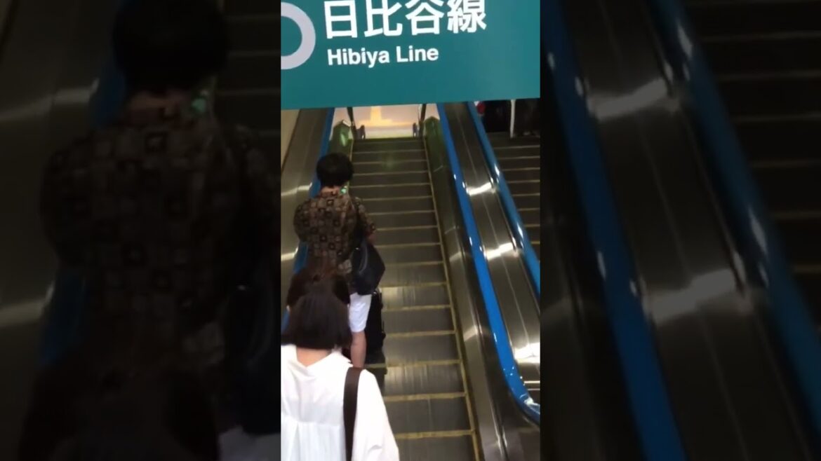 Unique ESCALATORS in Tokyo, JAPAN 🇯🇵 #Shorts #Japan #Travel #escalator