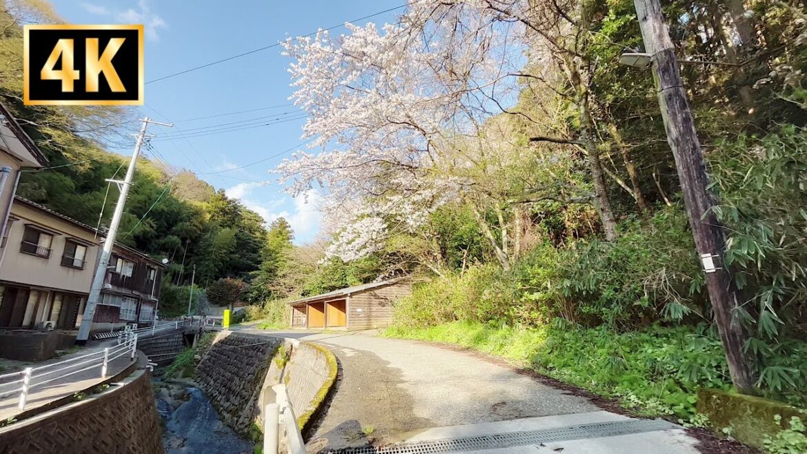 4K Japan Walk | Countryside Village | Neighborhood Walking Tour in Aikawa