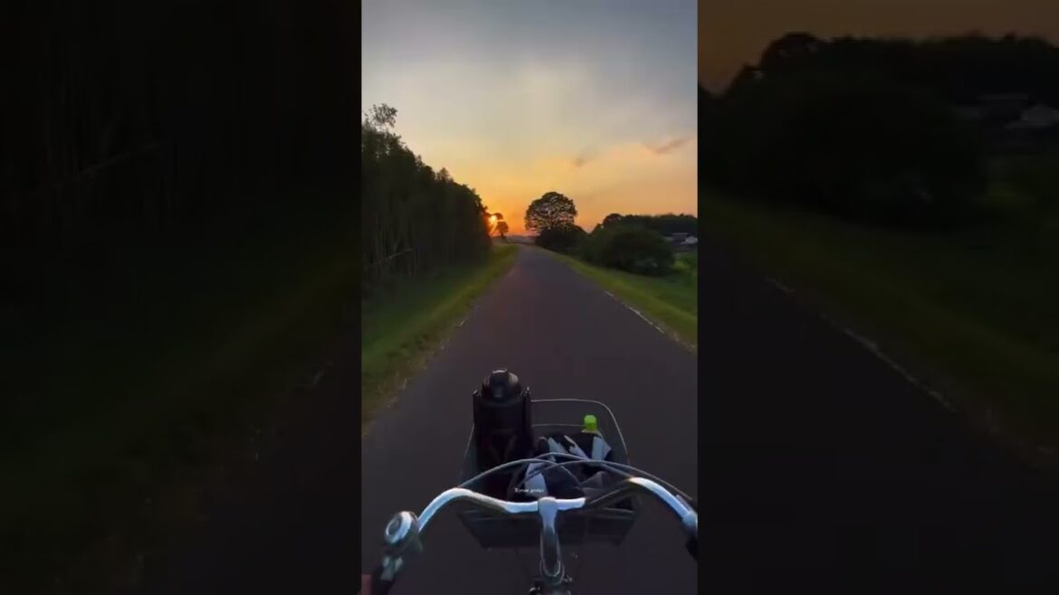 Bicycling compilation. Japan Street | Japan Aesthetic Story