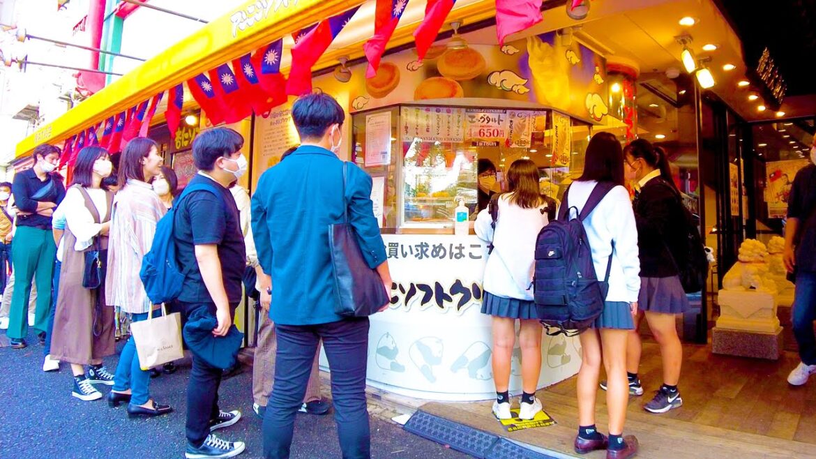 Yokohama Chinatown. Enjoy the parade ♪💖🐶4K ASMR non-stop 1 hour 06 minutes Yokohama Chinatown. Enjoy the parade ♪💖🐶4K ASMR non-stop 1 hour 06 minutes