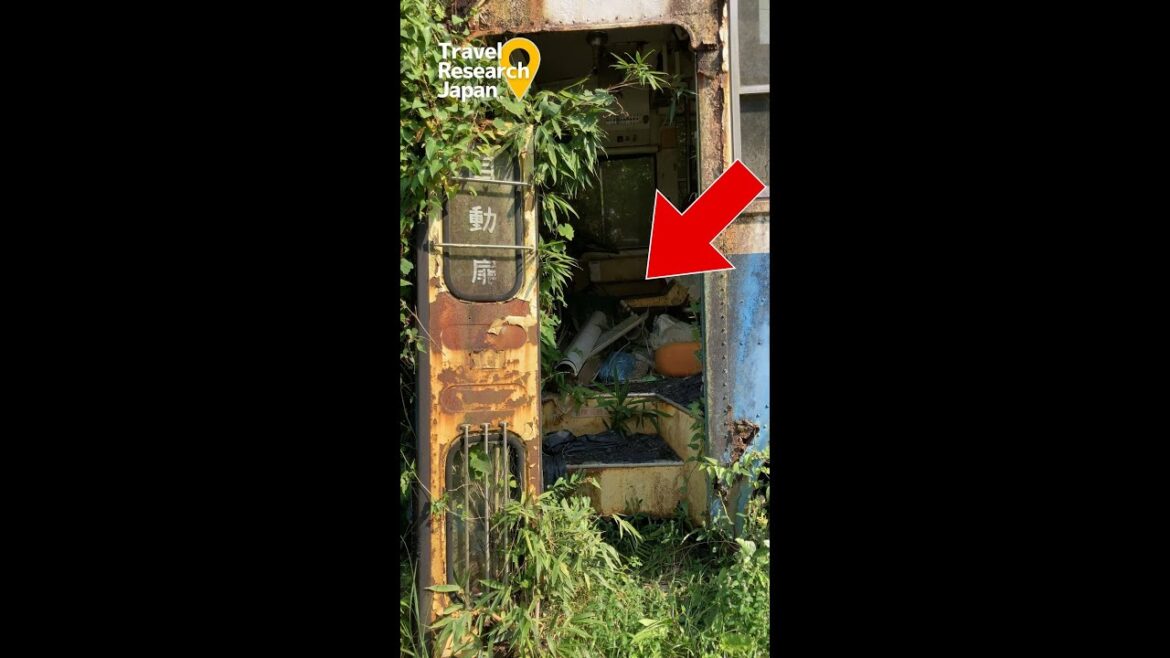 朽ち果てたバスはその昔街を支えたバスだった #shorts