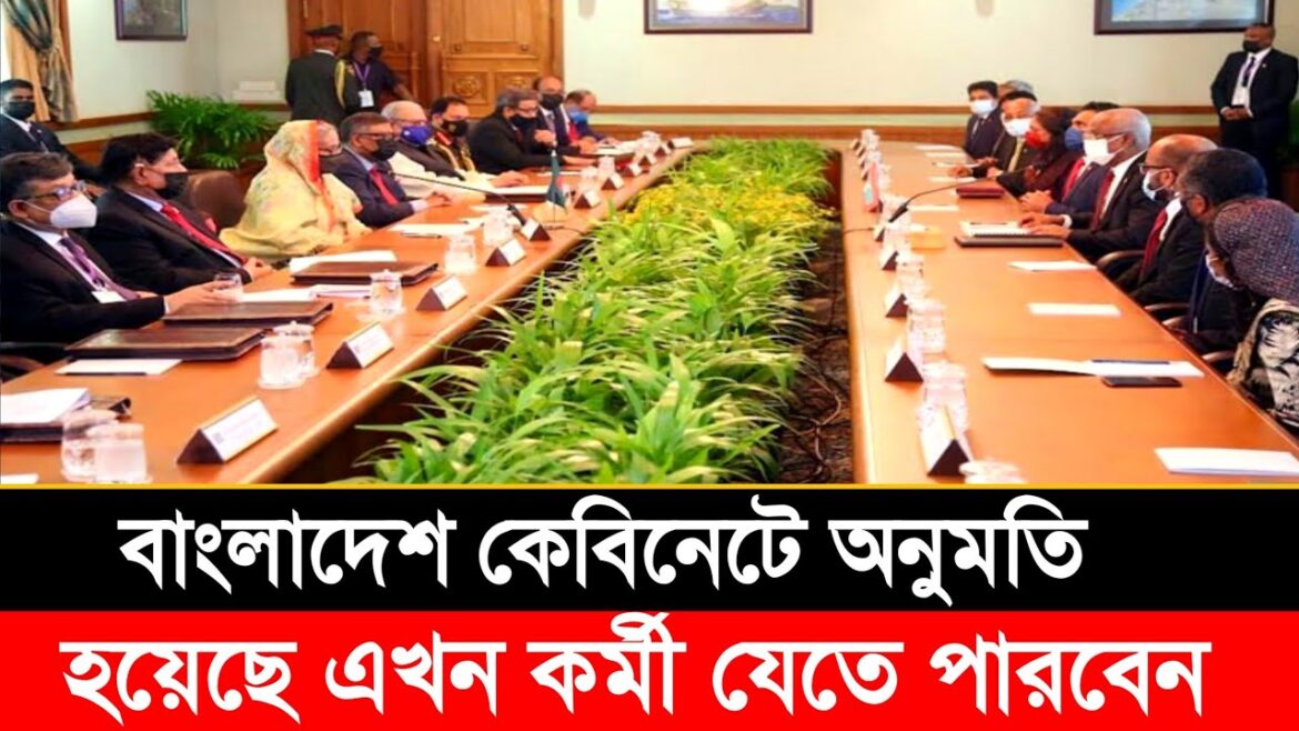 বাংলাদেশ কেবিনেটে অনুমতি দেওয়া হয়েছে এখন থেকে কর্মী যেতে পারবেন।
