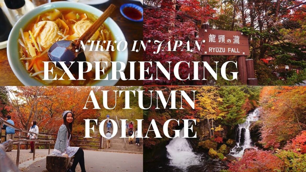 Autumn in My Heart / Autumn Leaves / Japan Autumn Foliage