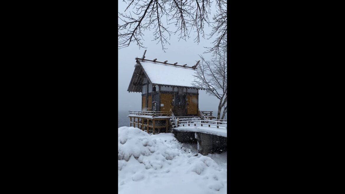 Winter In Japan #shorts