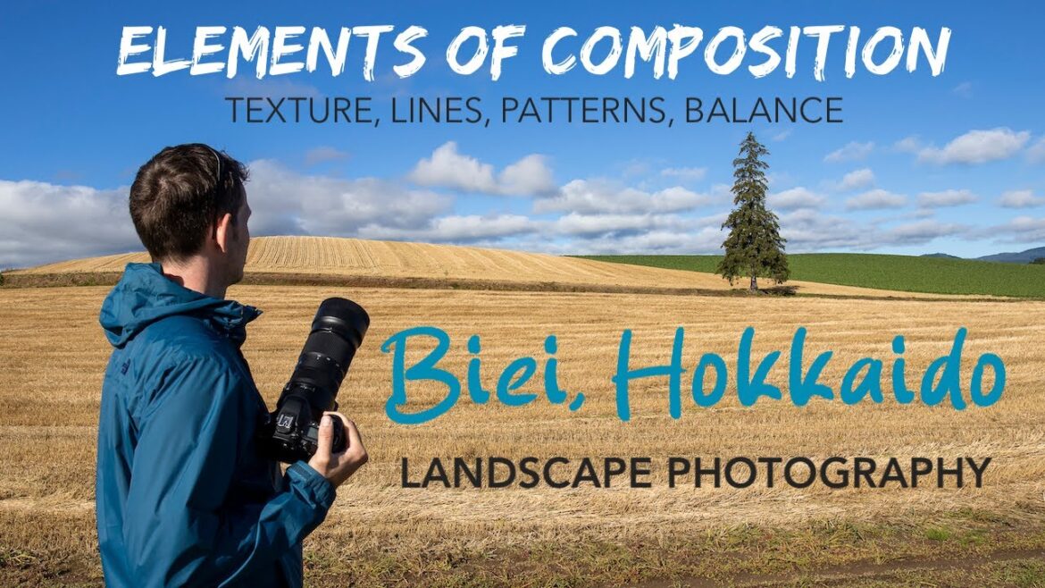 Elements of Composition - Landscape Photography in Biei, Japan. | Blue Pond | Tokachi | Lone Tree