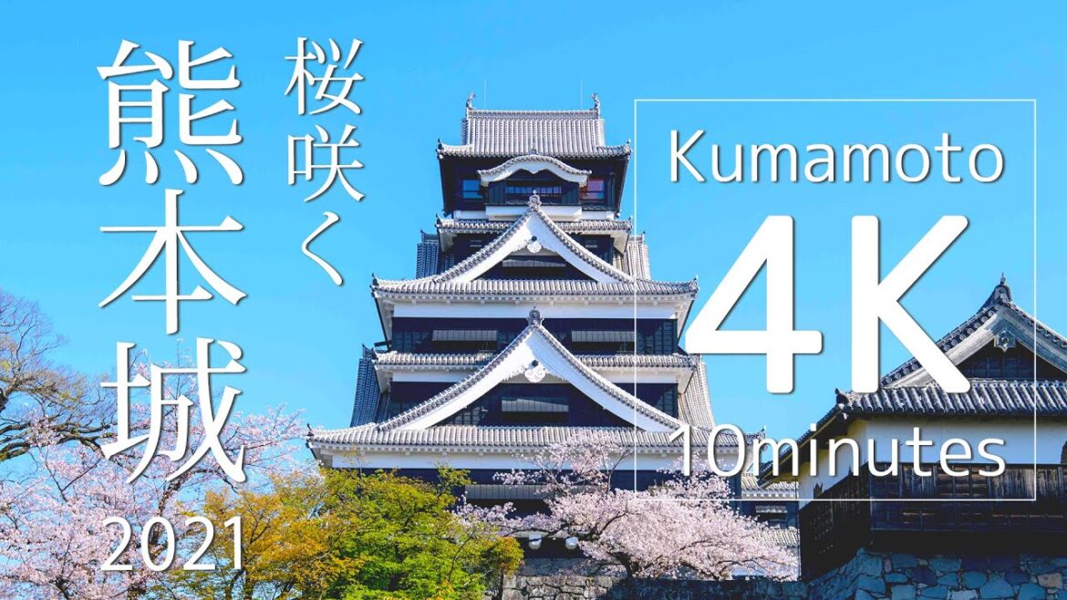 桜咲く熊本城 2021【Kumamoto 4K 10minutes】NikonD850 桜咲く熊本城 2021【Kumamoto 4K 10minutes】NikonD850