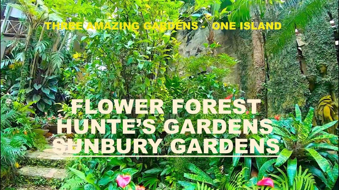 TOP 3 BOTANICAL GARDENS IN BARBADOS: Hunte's, Sunbury and Flower Forest Gardens