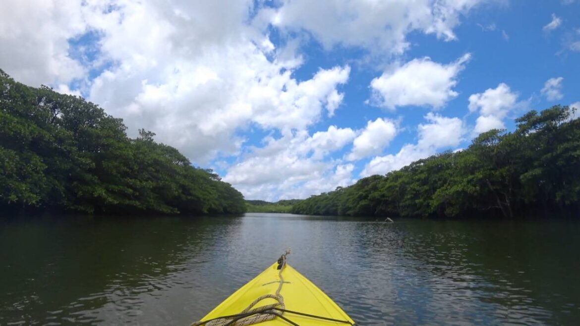 A Trip  to Iriomote Island(Okinawa,Japan)with Sony Action Cam and Nikon D500 vol.1