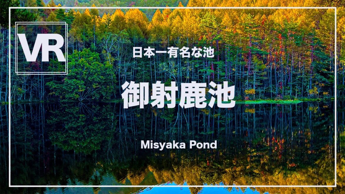 《 5.7K VR 高画質 》[ 360°Japan Travel ]御射鹿池　長野県茅野市　Nagano　VRゴーグル推奨