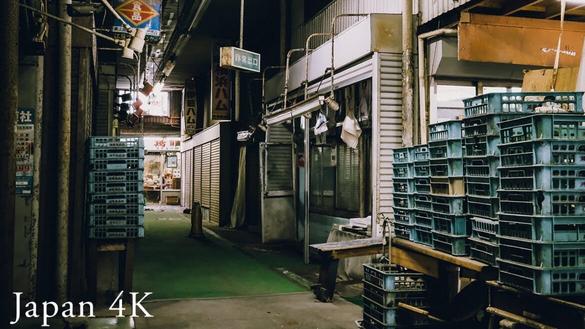 A view of Japanese market like a horror game setting | Travel Vlog | 4K | Tokyo Ruin Photography A view of Japanese market like a horror game setting | Travel Vlog | 4K | Tokyo Ruin Photography