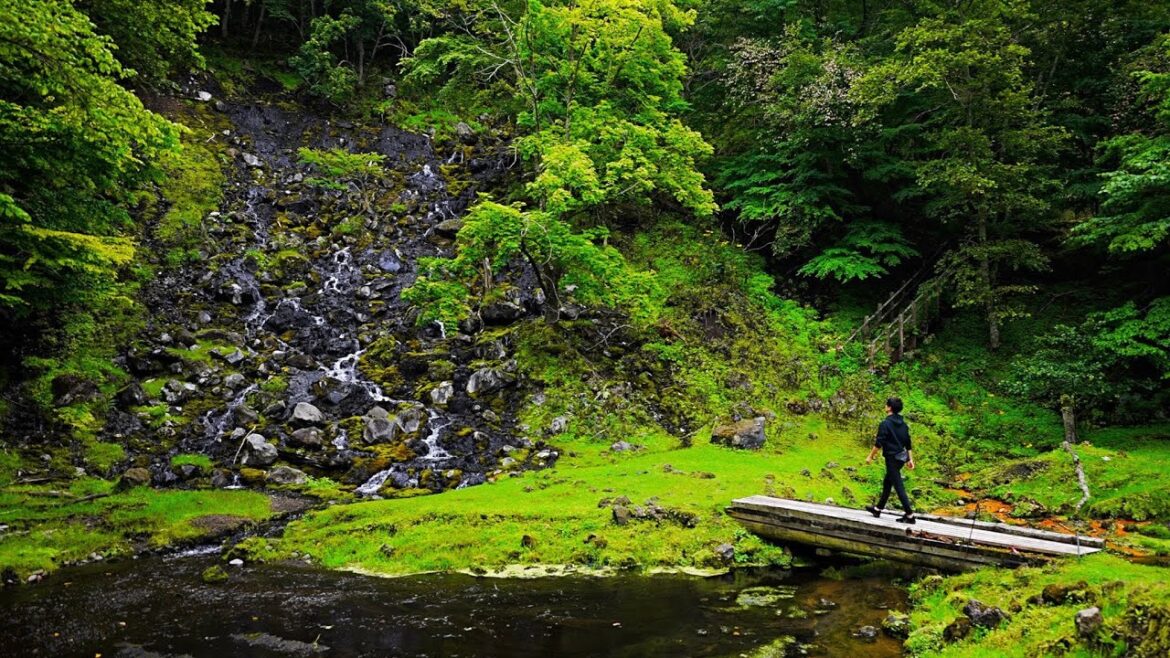 Mysterious hot spring waterfall in Hokkaido【Walking Tour】