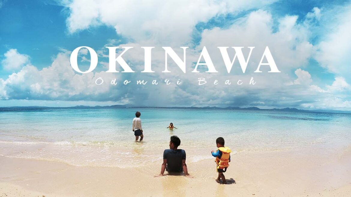 沖縄 VLOG リノカハイエース シュノーケリング 大泊ビーチ|Insta360 ONE R travel vlog| 沖縄 VLOG リノカハイエース シュノーケリング 大泊ビーチ|Insta360 ONE R travel vlog|