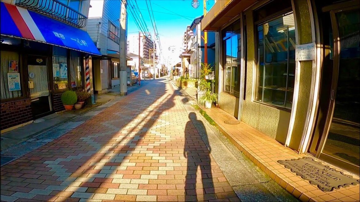 千葉県野田市野田を歩く 【なんとなくチョイス野田市編part5】【散歩190】